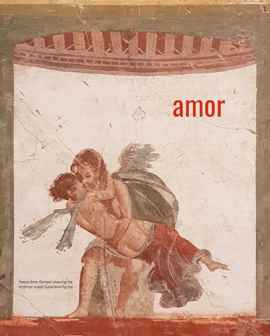 Chapter 33 amor