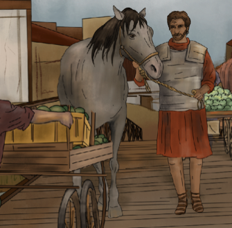 chapter 7