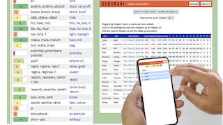 Using the Vocabulary Trainer